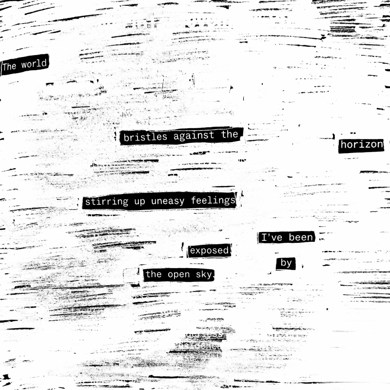Although the day was sunny and warm my skin crawled like I'd walked into a fridge. erasure poem: The world bristles against the horizon/ stirring up uneasy feelings/ I've been exposed by the open sky