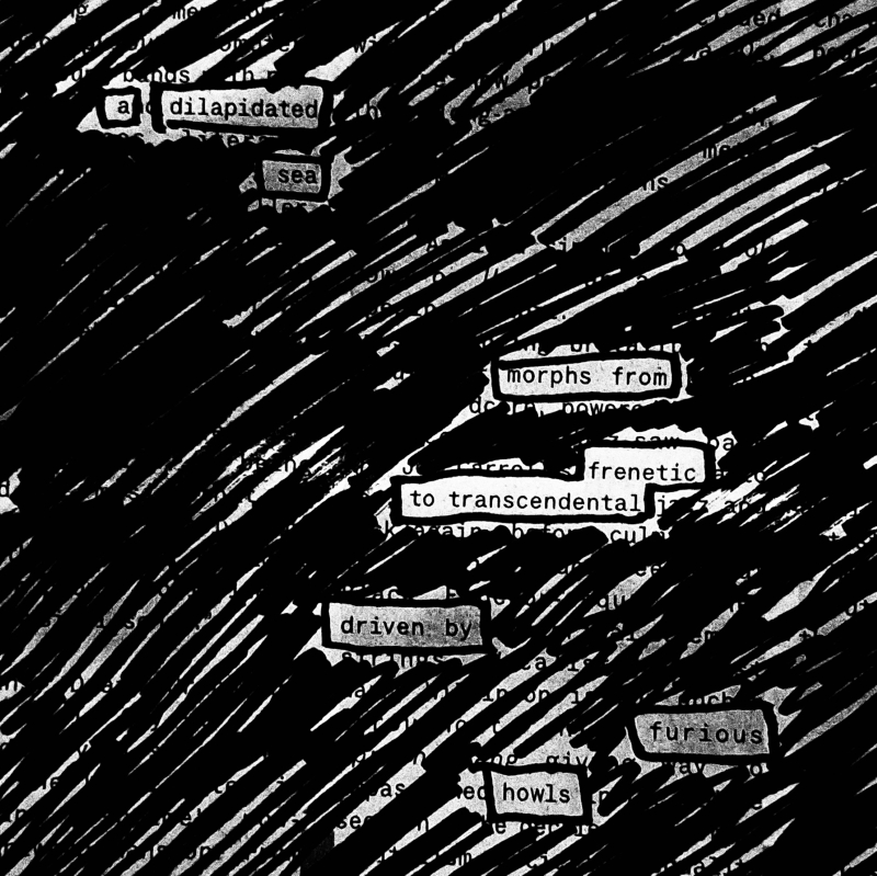 i dont know what it means, but its provocative. Gets the people going erasure poem: a dilapidated sea / morphs from frantic to transcendental / driven by furious howls
